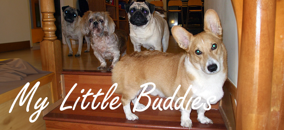 doggies