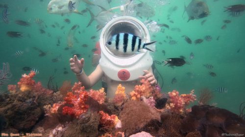 DCIM100GOPROGOPR0389.JPG