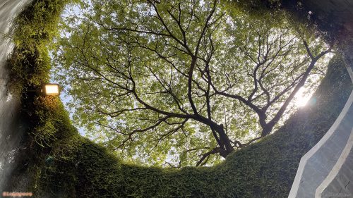 Asia 2025 26 083 SG