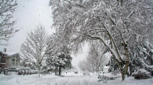 Snow 001