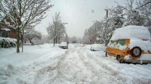 Snow 002