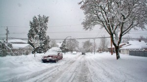 Snow 007
