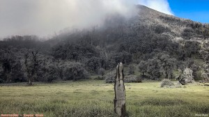 Travel 030 Turrialba